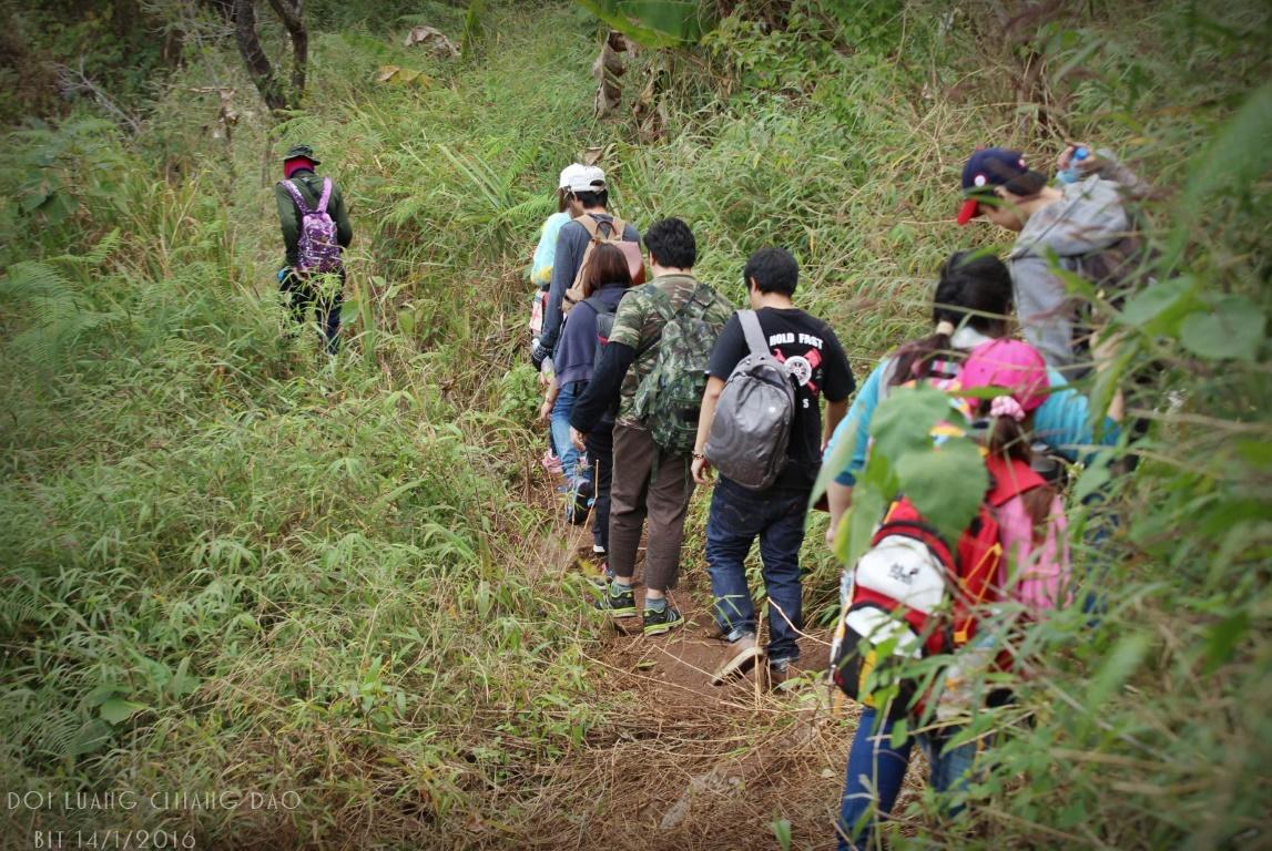 Chiang Dao Hostel Bagian luar foto