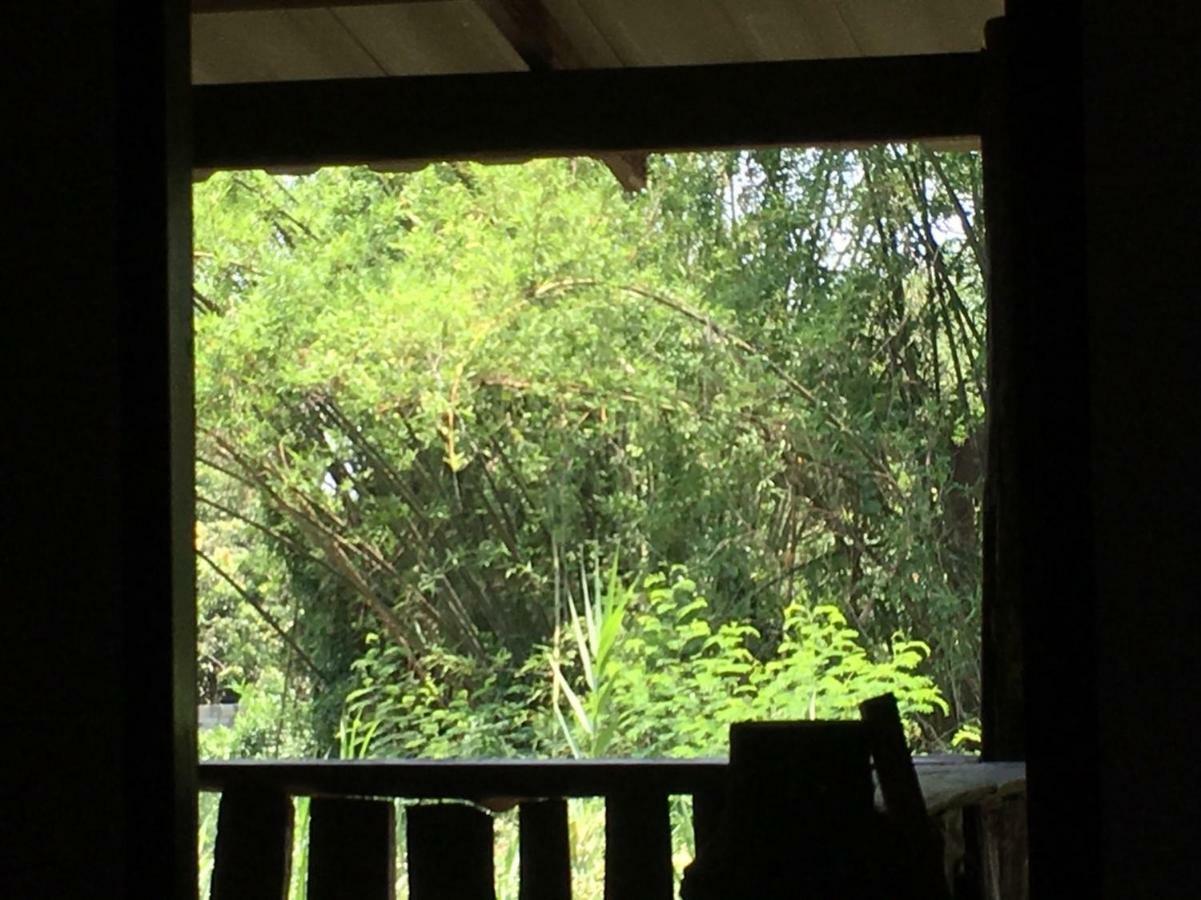 Chiang Dao Hostel Bagian luar foto
